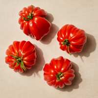 Read Isle of Wight Tomatoes Reviews